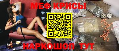 индика Усть-Джегута