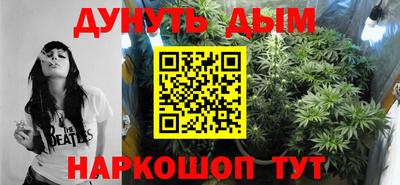 индика Усть-Джегута