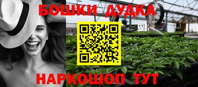 индика Усть-Джегута